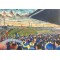 Plough Lane Stadium Fine Art Slate Presentation - AFC Wimbledon